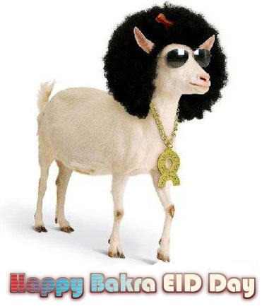 bakra-eid-day-funny-pics-wallpapers-pictures-images-facebook.jpg