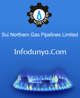 sui Check Your SNGPL Sui Gas Bill Online