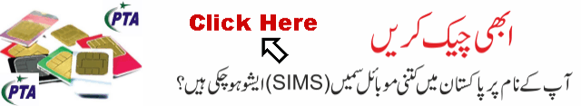 Check Online Sim Info